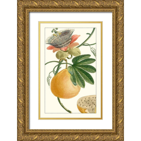 Turpin Exotic Botanical III Gold Ornate Wood Framed Art Print with Double Matting by Turpin