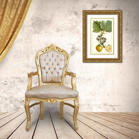 Turpin Exotic Botanical IV Gold Ornate Wood Framed Art Print with Double Matting by Turpin