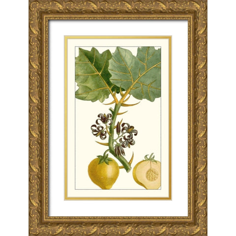 Turpin Exotic Botanical IV Gold Ornate Wood Framed Art Print with Double Matting by Turpin