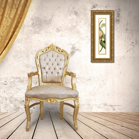 Turpin Exotic Botanical V Gold Ornate Wood Framed Art Print with Double Matting by Turpin