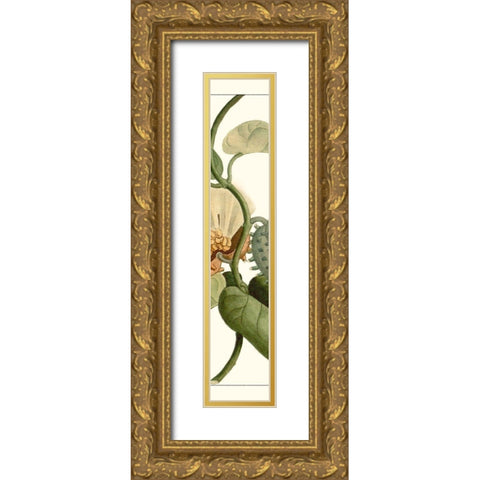 Turpin Exotic Botanical V Gold Ornate Wood Framed Art Print with Double Matting by Turpin
