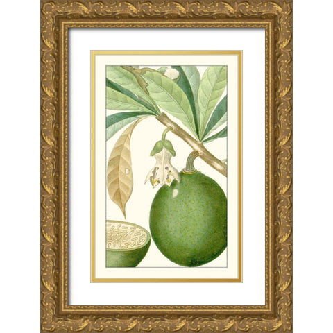 Turpin Exotic Botanical VIII Gold Ornate Wood Framed Art Print with Double Matting by Turpin