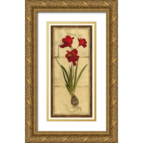 Amaryllis Panel II Gold Ornate Wood Framed Art Print with Double Matting by Vision Studio