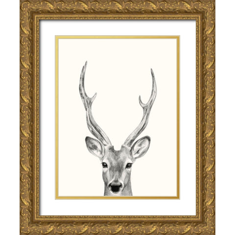 Animal Mug IV Gold Ornate Wood Framed Art Print with Double Matting by Borges, Victoria
