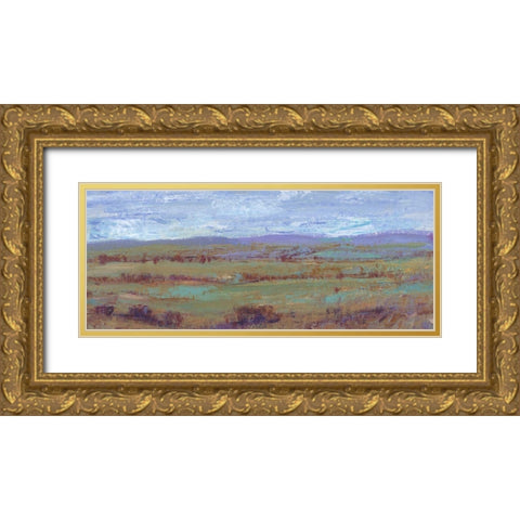 Open Land II Gold Ornate Wood Framed Art Print with Double Matting by OToole, Tim