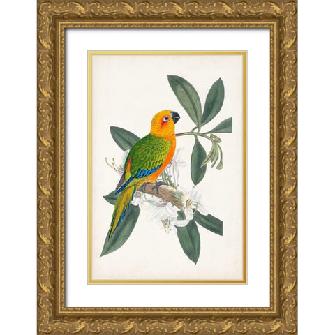 UA Tropical Bird and Flower I Gold Ornate Wood Framed Art Print with Double Matting by Vision Studio