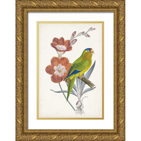 Tropical Bird and Flower III Gold Ornate Wood Framed Art Print with Double Matting by Vision Studio