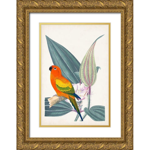 UA Tropical Bird and Flower IV Gold Ornate Wood Framed Art Print with Double Matting by Vision Studio