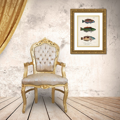 Antique Fish Trio I Gold Ornate Wood Framed Art Print with Double Matting by Vision Studio
