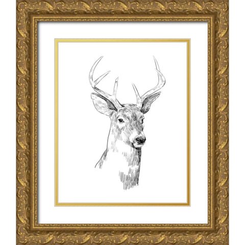 Young Buck Sketch I Gold Ornate Wood Framed Art Print with Double Matting by Scarvey, Emma