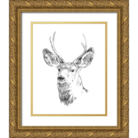 Young Buck Sketch IV Gold Ornate Wood Framed Art Print with Double Matting by Scarvey, Emma