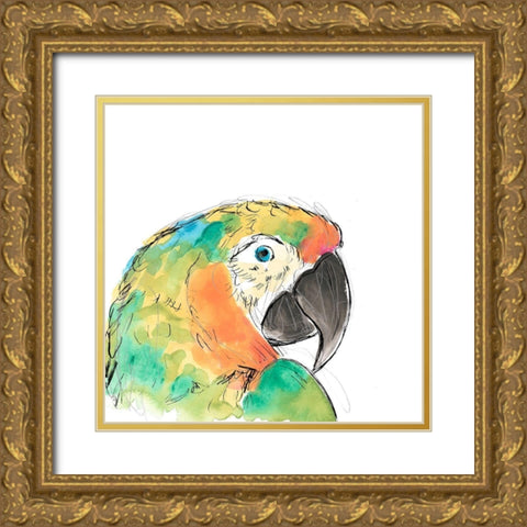 Tropical Bird Portrait IV Gold Ornate Wood Framed Art Print with Double Matting by Vess, June Erica