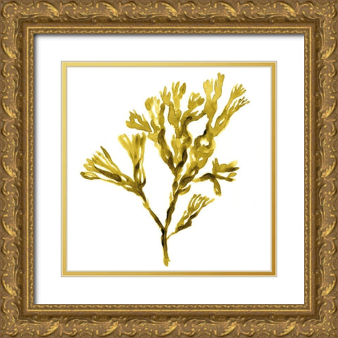 Suspended Seaweed II Gold Ornate Wood Framed Art Print with Double Matting by Green, Jacob