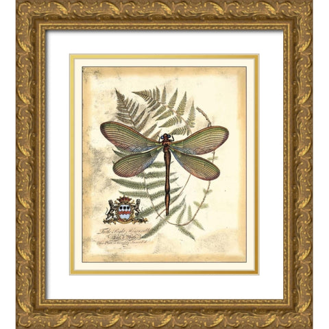 Regal Dragonfly II Gold Ornate Wood Framed Art Print with Double Matting by Vision Studio