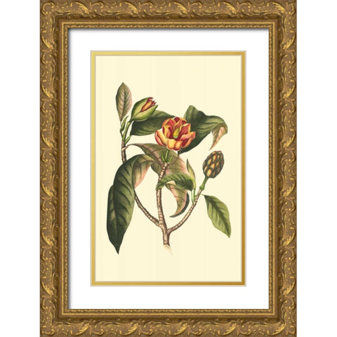 Flourishing Foliage I Gold Ornate Wood Framed Art Print with Double Matting by Vision Studio