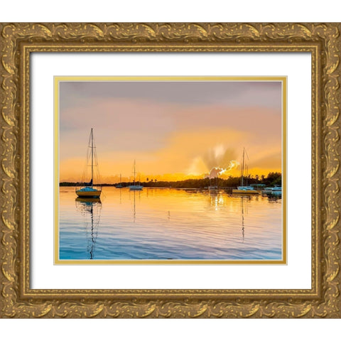In the Golden Light IV Gold Ornate Wood Framed Art Print with Double Matting by Kalina, Emily
