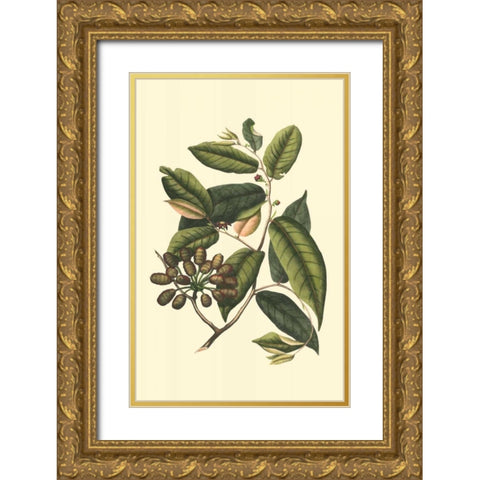 Flourishing Foliage III Gold Ornate Wood Framed Art Print with Double Matting by Vision Studio