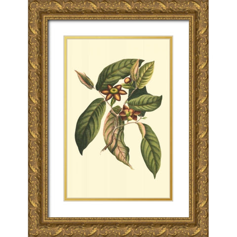 Flourishing Foliage IV Gold Ornate Wood Framed Art Print with Double Matting by Vision Studio