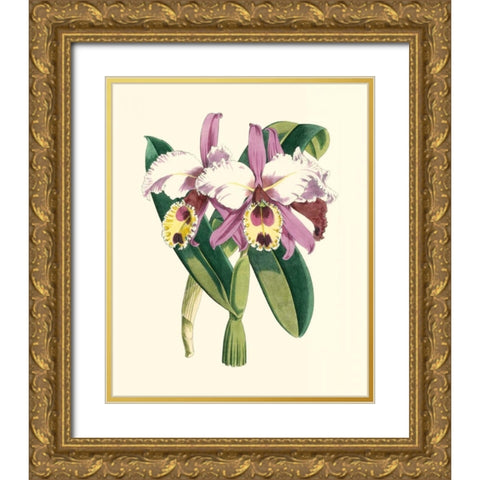 Magnificent Orchid I Gold Ornate Wood Framed Art Print with Double Matting by Vision Studio