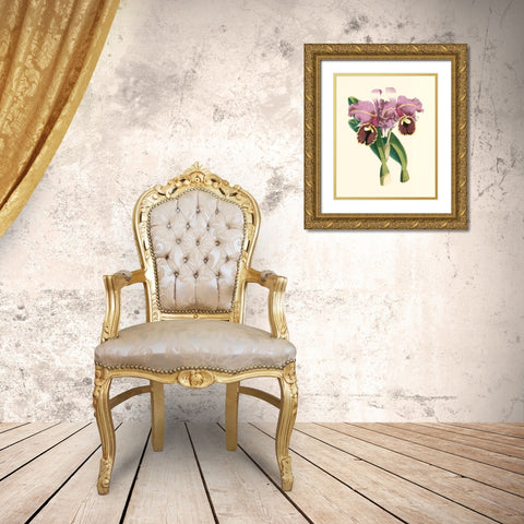 Magnificent Orchid II Gold Ornate Wood Framed Art Print with Double Matting by Vision Studio