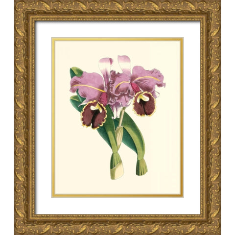 Magnificent Orchid II Gold Ornate Wood Framed Art Print with Double Matting by Vision Studio