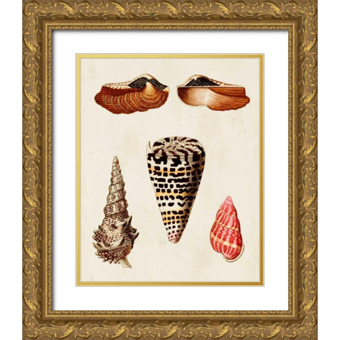 Knorr Shells III Gold Ornate Wood Framed Art Print with Double Matting by Knorr, G.W.
