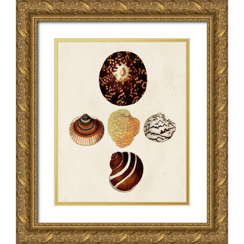 Knorr Shells V Gold Ornate Wood Framed Art Print with Double Matting by Knorr, G.W.