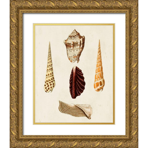 Knorr Shells VI Gold Ornate Wood Framed Art Print with Double Matting by Knorr, G.W.