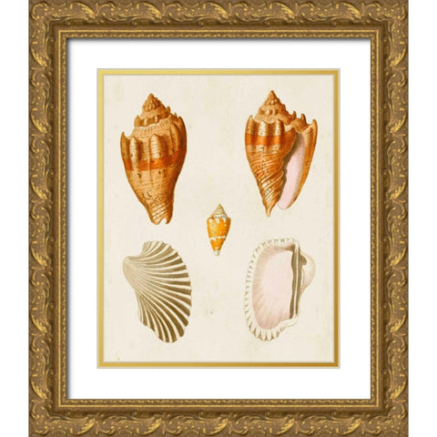 Knorr Shells VII Gold Ornate Wood Framed Art Print with Double Matting by Knorr, G.W.