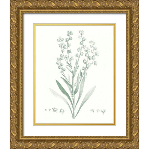 Botanical Study in Sage I Gold Ornate Wood Framed Art Print with Double Matting by Vision Studio