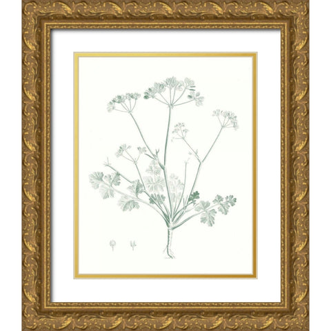 Botanical Study in Sage IV Gold Ornate Wood Framed Art Print with Double Matting by Vision Studio