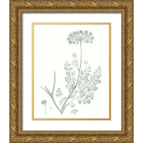 Botanical Study in Sage V Gold Ornate Wood Framed Art Print with Double Matting by Vision Studio