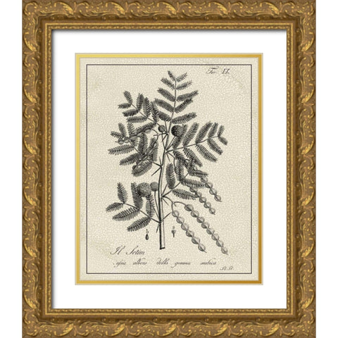 Antique Black and White Botanical I Gold Ornate Wood Framed Art Print with Double Matting by Vision Studio