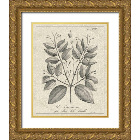 Antique Black and White Botanical VII Gold Ornate Wood Framed Art Print with Double Matting by Vision Studio