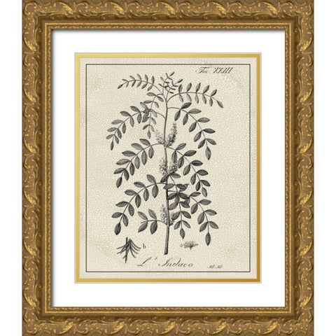Antique Black and White Botanical IX Gold Ornate Wood Framed Art Print with Double Matting by Vision Studio