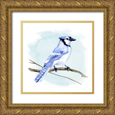 Coastal Blue Jay I Gold Ornate Wood Framed Art Print with Double Matting by Green, Jacob