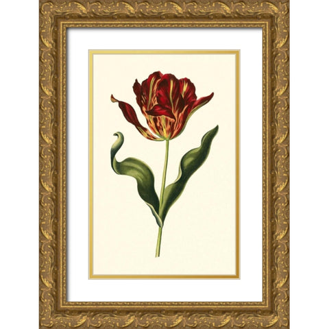 Vintage Tulips II Gold Ornate Wood Framed Art Print with Double Matting by Vision Studio