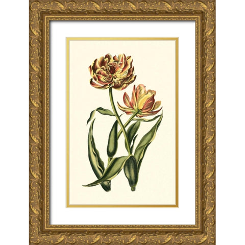 Vintage Tulips IV Gold Ornate Wood Framed Art Print with Double Matting by Vision Studio