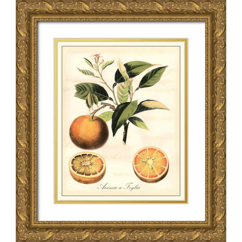 Tuscan Fruits III Gold Ornate Wood Framed Art Print with Double Matting by Vision Studio