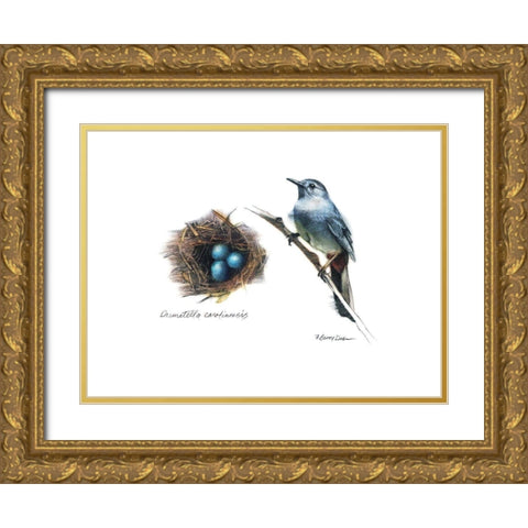 Bird and Nest Study II Gold Ornate Wood Framed Art Print with Double Matting by Dean, Bruce