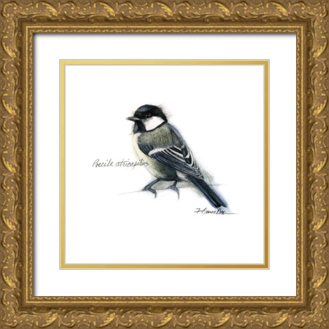 Songbird Study II Gold Ornate Wood Framed Art Print with Double Matting by Dean, Bruce
