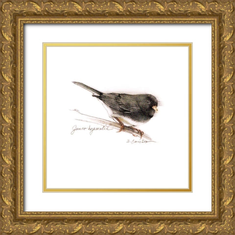 Songbird Study V Gold Ornate Wood Framed Art Print with Double Matting by Dean, Bruce