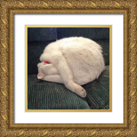 Cat Yoga I Gold Ornate Wood Framed Art Print with Double Matting by Nob, R.