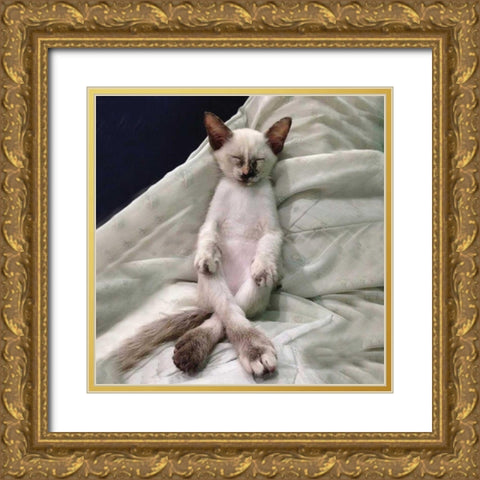 Cat Yoga II Gold Ornate Wood Framed Art Print with Double Matting by Nob, R.