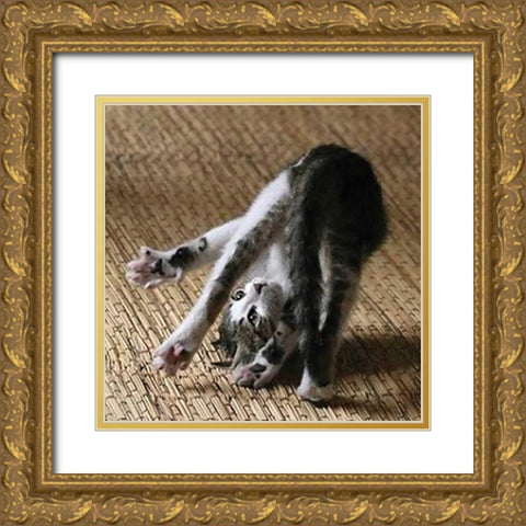 Cat Yoga IV Gold Ornate Wood Framed Art Print with Double Matting by Nob, R.