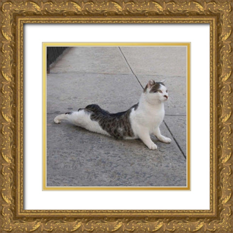 Cat Yoga VI Gold Ornate Wood Framed Art Print with Double Matting by Nob, R.