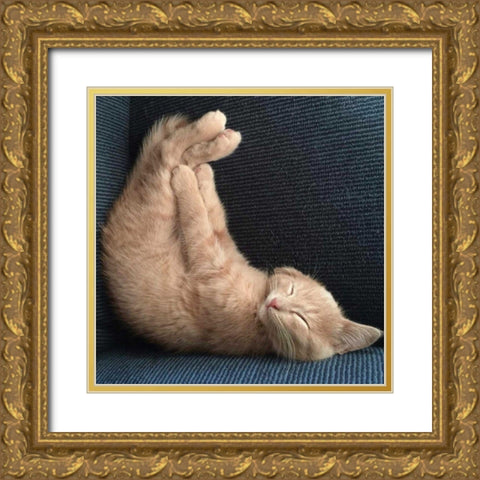 Cat Yoga VII Gold Ornate Wood Framed Art Print with Double Matting by Nob, R.