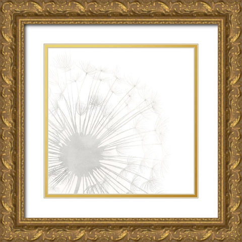 Dandelion Whisper I Gold Ornate Wood Framed Art Print with Double Matting by Popp, Grace