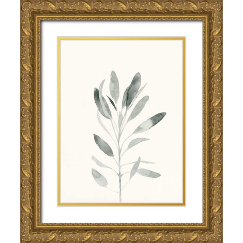 Delicate Sage Botanical II Gold Ornate Wood Framed Art Print with Double Matting by Caroline, Emma