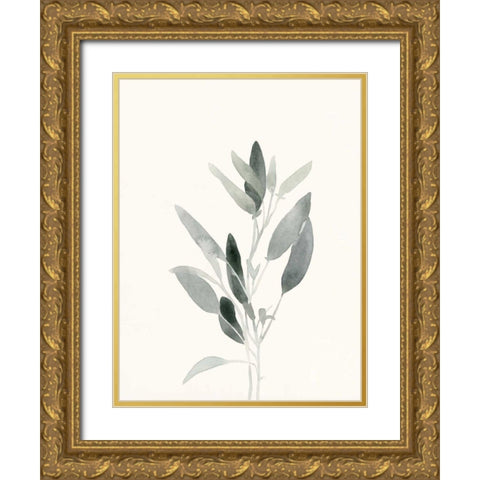 Delicate Sage Botanical IV Gold Ornate Wood Framed Art Print with Double Matting by Caroline, Emma